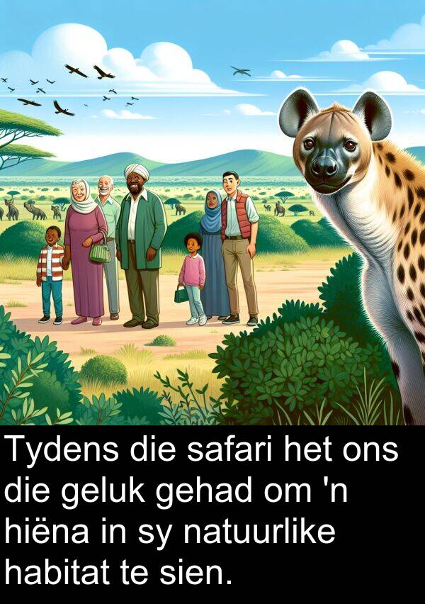 habitat: Tydens die safari het ons die geluk gehad om 'n hiëna in sy natuurlike habitat te sien.
