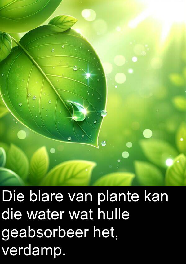 geabsorbeer: Die blare van plante kan die water wat hulle geabsorbeer het, verdamp.