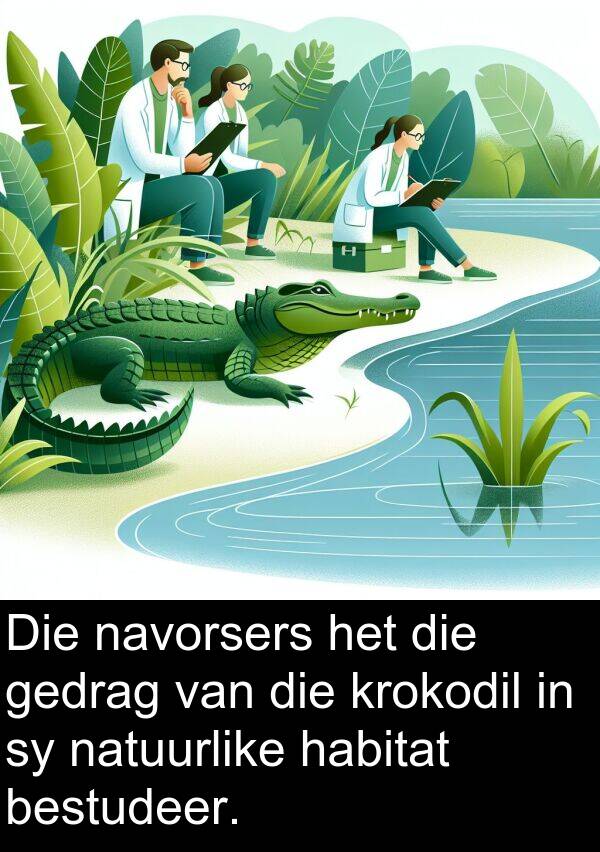 habitat: Die navorsers het die gedrag van die krokodil in sy natuurlike habitat bestudeer.