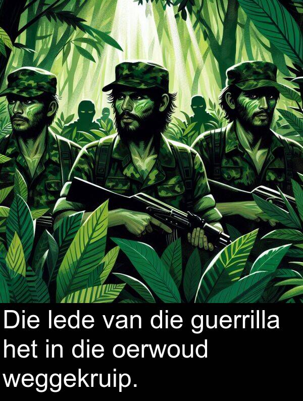 lede: Die lede van die guerrilla het in die oerwoud weggekruip.