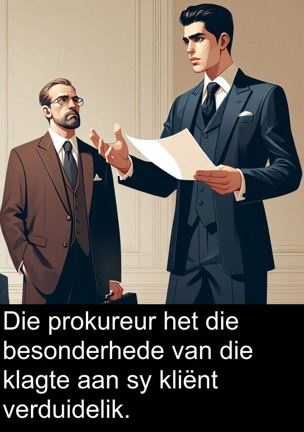 prokureur: Die prokureur het die besonderhede van die klagte aan sy kliënt verduidelik.