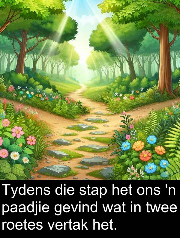 paadjie: Tydens die stap het ons 'n paadjie gevind wat in twee roetes vertak het.