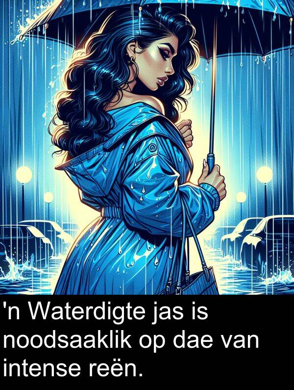 jas: 'n Waterdigte jas is noodsaaklik op dae van intense reën.