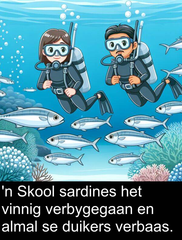 almal: 'n Skool sardines het vinnig verbygegaan en almal se duikers verbaas.