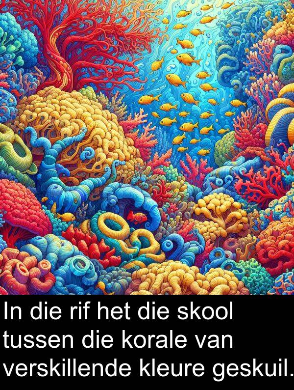rif: In die rif het die skool tussen die korale van verskillende kleure geskuil.