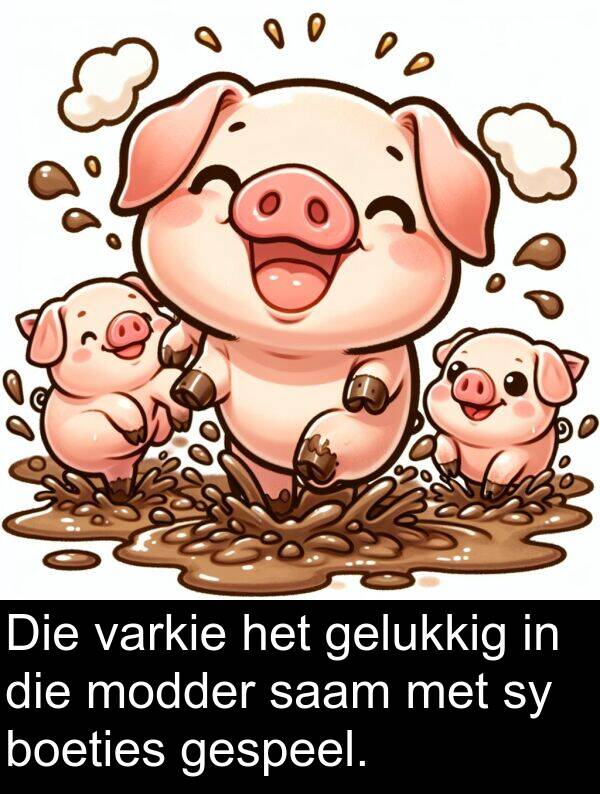 saam: Die varkie het gelukkig in die modder saam met sy boeties gespeel.
