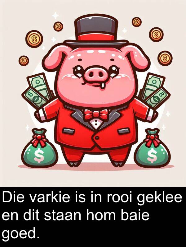 rooi: Die varkie is in rooi geklee en dit staan hom baie goed.