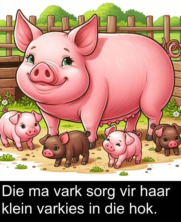 haar: Die ma vark sorg vir haar klein varkies in die hok.