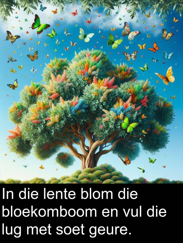lente: In die lente blom die bloekomboom en vul die lug met soet geure.