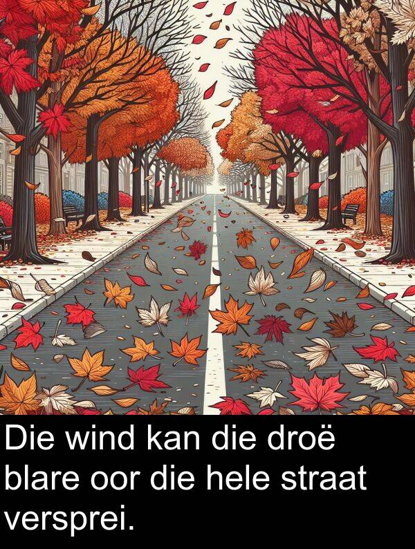 hele: Die wind kan die droë blare oor die hele straat versprei.