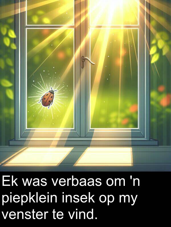 piepklein: Ek was verbaas om 'n piepklein insek op my venster te vind.