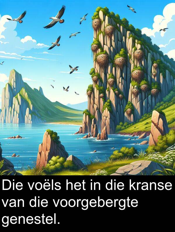 voorgebergte: Die voëls het in die kranse van die voorgebergte genestel.