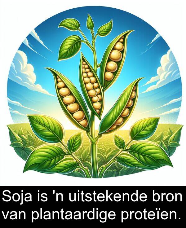 proteïen: Soja is 'n uitstekende bron van plantaardige proteïen.