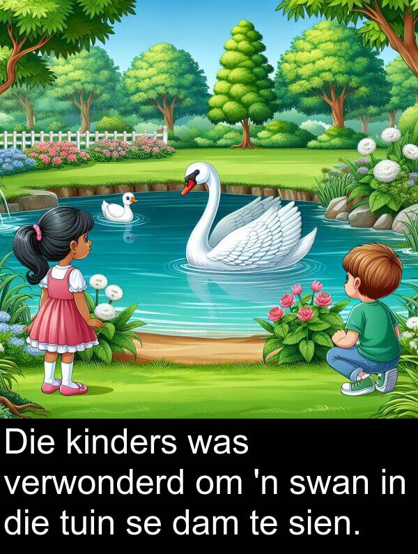 dam: Die kinders was verwonderd om 'n swan in die tuin se dam te sien.