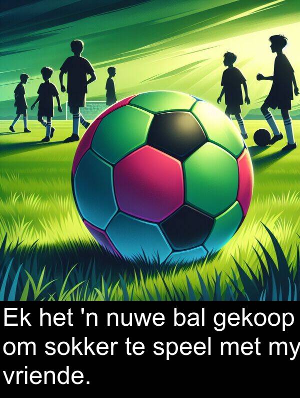 bal: Ek het 'n nuwe bal gekoop om sokker te speel met my vriende.