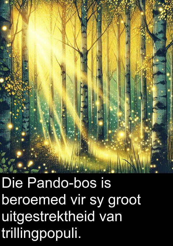 beroemed: Die Pando-bos is beroemed vir sy groot uitgestrektheid van trillingpopuli.