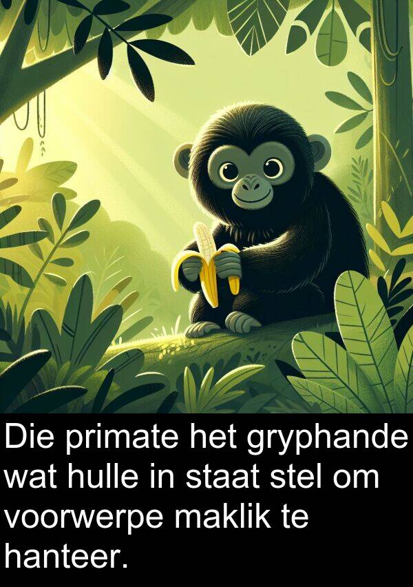 hanteer: Die primate het gryphande wat hulle in staat stel om voorwerpe maklik te hanteer.