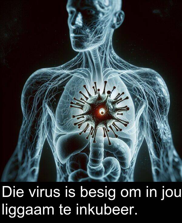 besig: Die virus is besig om in jou liggaam te inkubeer.