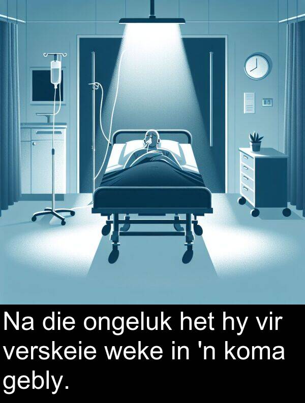 gebly: Na die ongeluk het hy vir verskeie weke in 'n koma gebly.