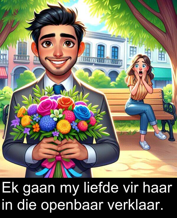 haar: Ek gaan my liefde vir haar in die openbaar verklaar.