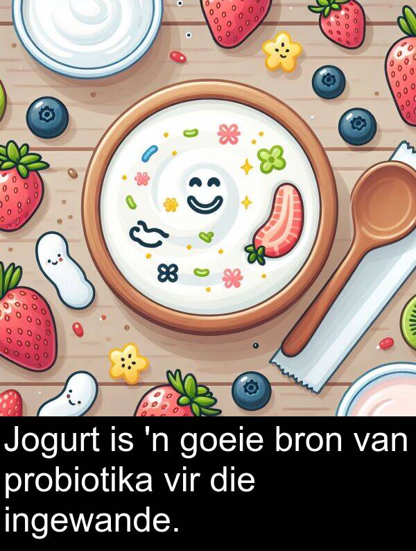 probiotika: Jogurt is 'n goeie bron van probiotika vir die ingewande.