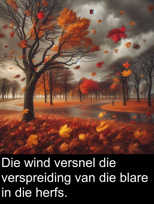 herfs: Die wind versnel die verspreiding van die blare in die herfs.