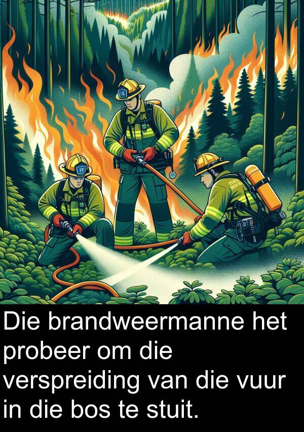 probeer: Die brandweermanne het probeer om die verspreiding van die vuur in die bos te stuit.