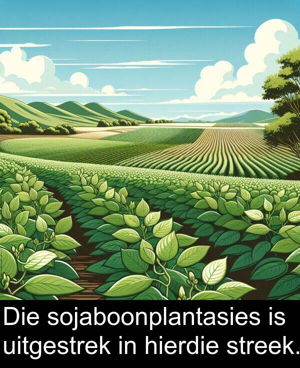 hierdie: Die sojaboonplantasies is uitgestrek in hierdie streek.