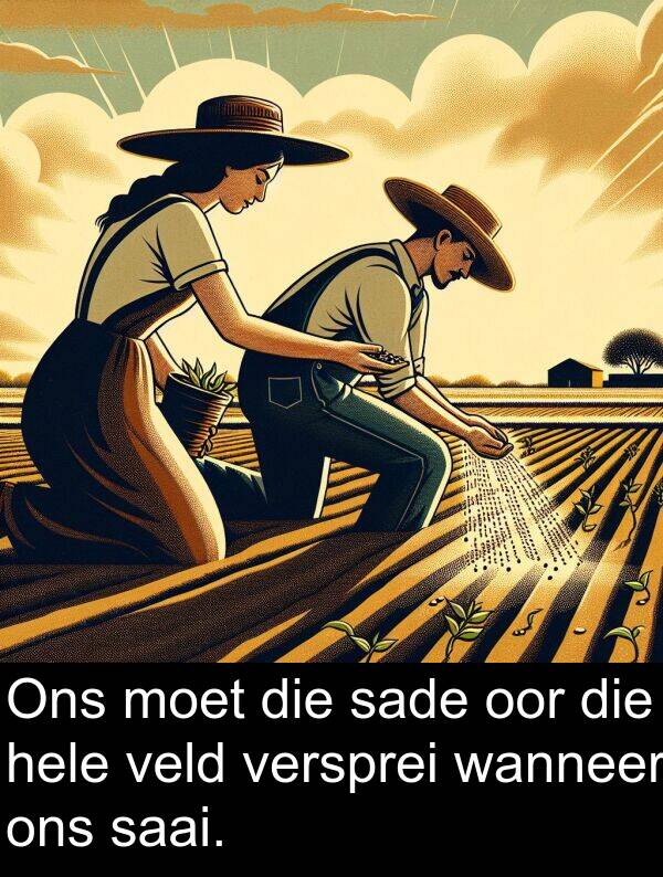 hele: Ons moet die sade oor die hele veld versprei wanneer ons saai.