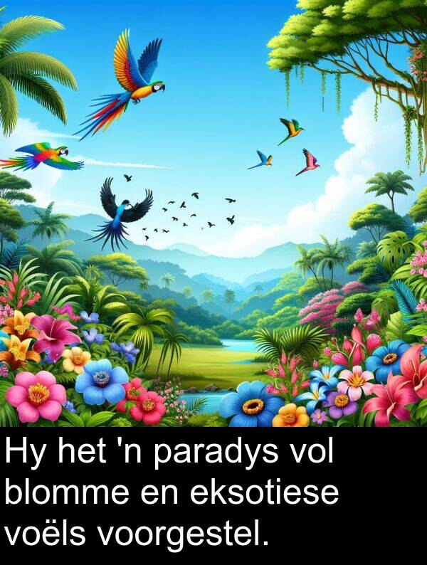 eksotiese: Hy het 'n paradys vol blomme en eksotiese voëls voorgestel.