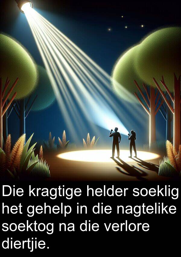 nagtelike: Die kragtige helder soeklig het gehelp in die nagtelike soektog na die verlore diertjie.