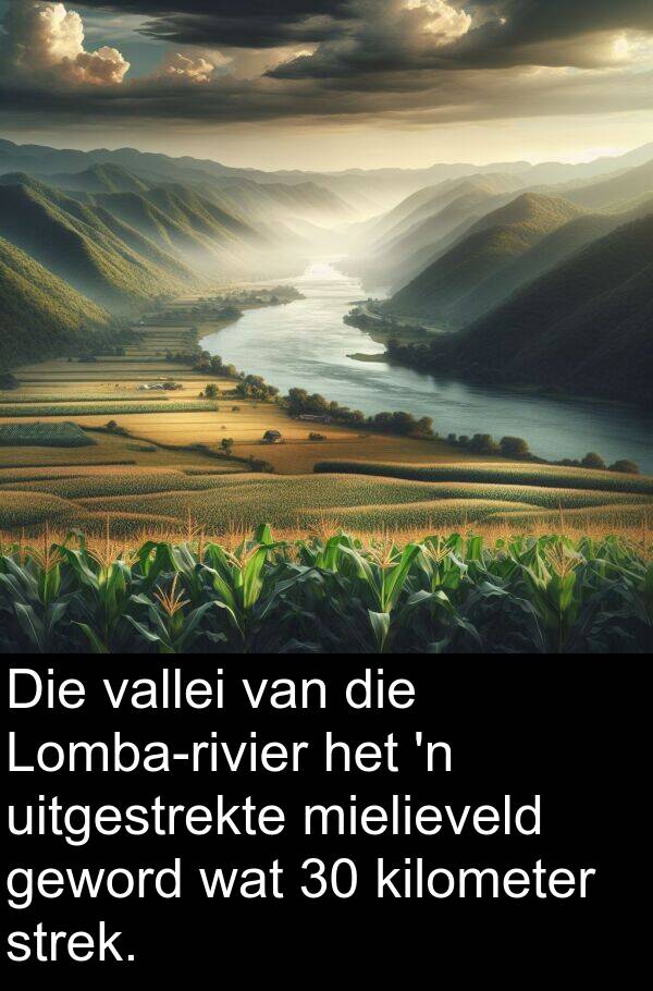 mielieveld: Die vallei van die Lomba-rivier het 'n uitgestrekte mielieveld geword wat 30 kilometer strek.