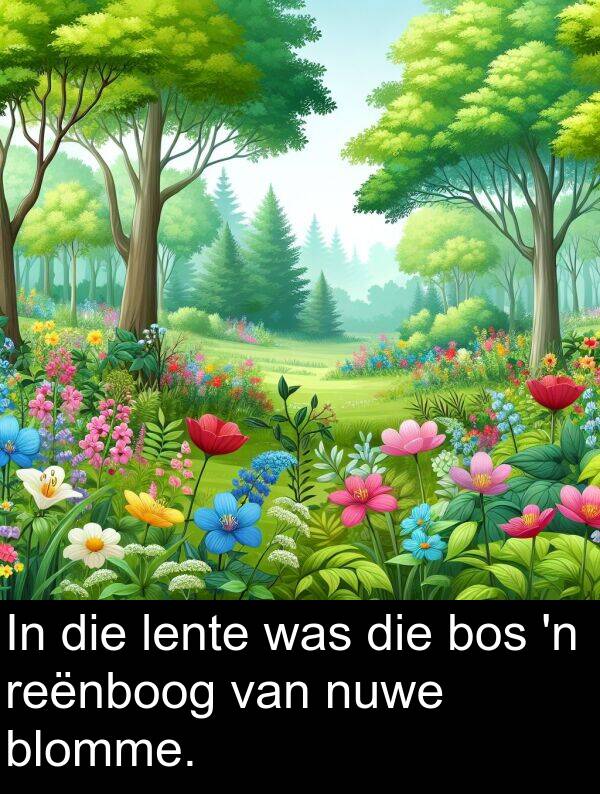 reënboog: In die lente was die bos 'n reënboog van nuwe blomme.