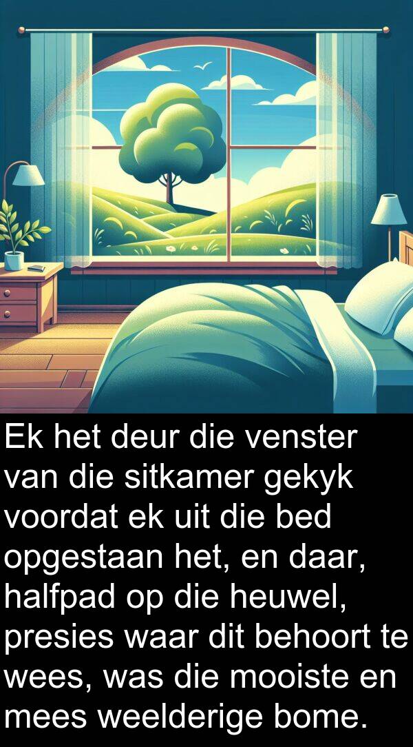 halfpad: Ek het deur die venster van die sitkamer gekyk voordat ek uit die bed opgestaan het, en daar, halfpad op die heuwel, presies waar dit behoort te wees, was die mooiste en mees weelderige bome.