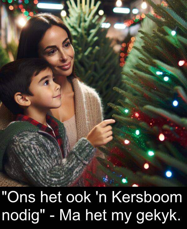 gekyk: "Ons het ook 'n Kersboom nodig" - Ma het my gekyk.