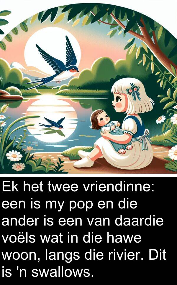 hawe: Ek het twee vriendinne: een is my pop en die ander is een van daardie voëls wat in die hawe woon, langs die rivier. Dit is 'n swallows.