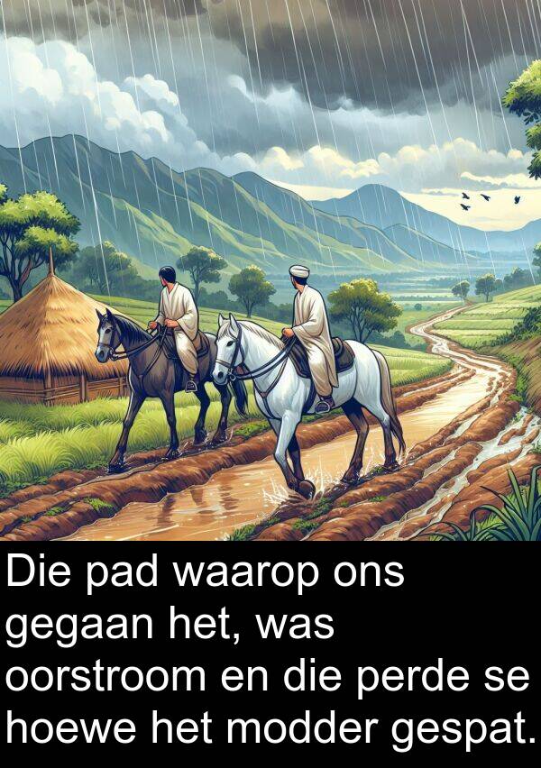 hoewe: Die pad waarop ons gegaan het, was oorstroom en die perde se hoewe het modder gespat.
