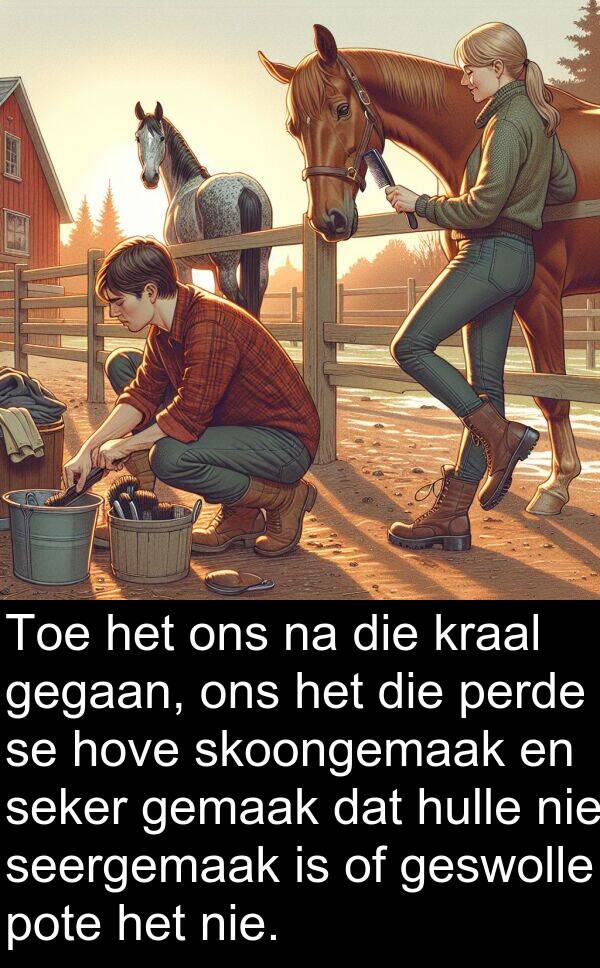 hove: Toe het ons na die kraal gegaan, ons het die perde se hove skoongemaak en seker gemaak dat hulle nie seergemaak is of geswolle pote het nie.