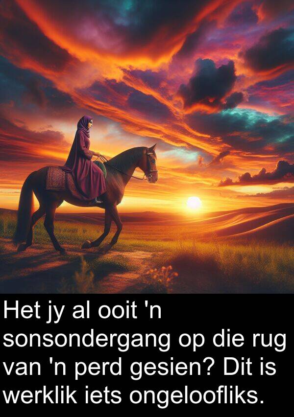 rug: Het jy al ooit 'n sonsondergang op die rug van 'n perd gesien? Dit is werklik iets ongeloofliks.