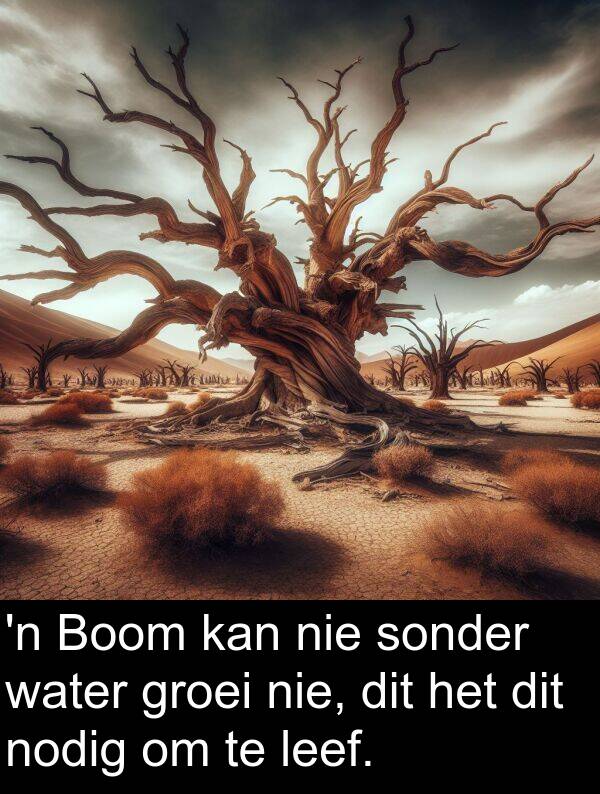 leef: 'n Boom kan nie sonder water groei nie, dit het dit nodig om te leef.