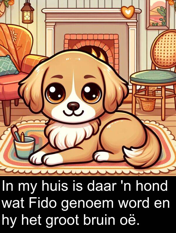 oë: In my huis is daar 'n hond wat Fido genoem word en hy het groot bruin oë.