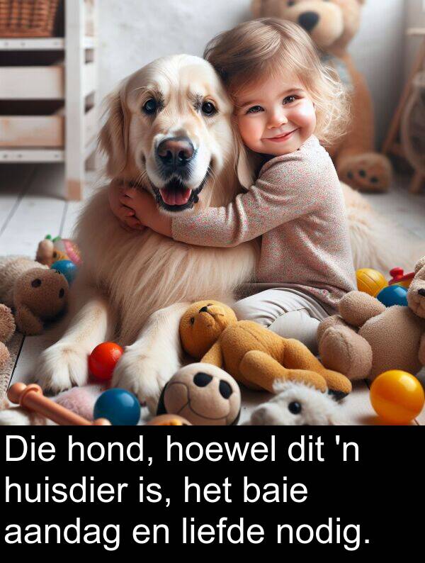 hoewel: Die hond, hoewel dit 'n huisdier is, het baie aandag en liefde nodig.