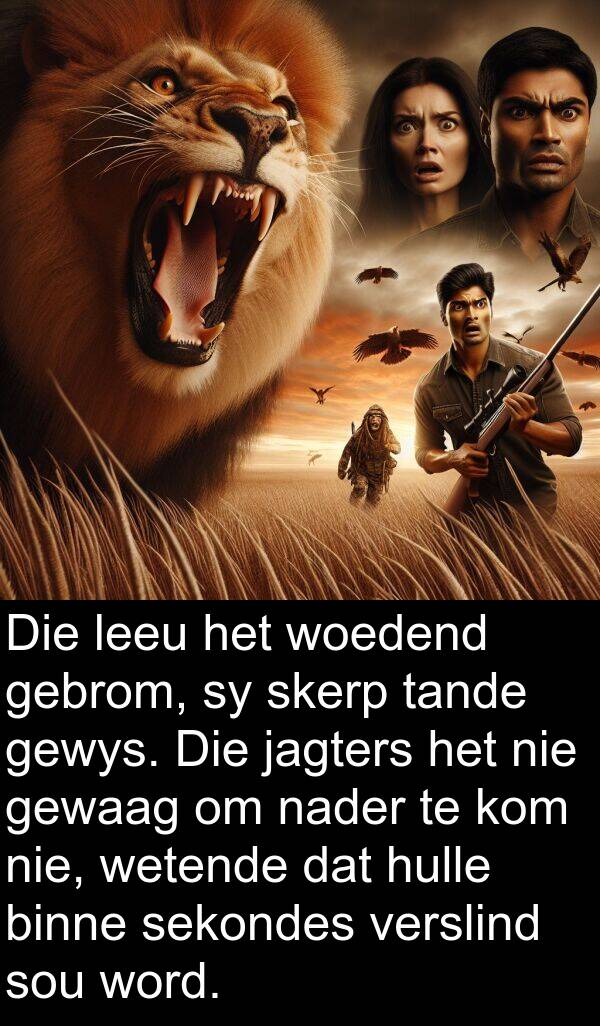 gebrom: Die leeu het woedend gebrom, sy skerp tande gewys. Die jagters het nie gewaag om nader te kom nie, wetende dat hulle binne sekondes verslind sou word.
