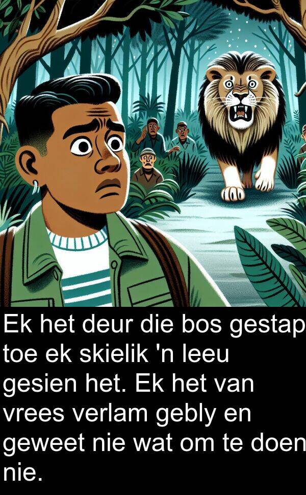 gebly: Ek het deur die bos gestap toe ek skielik 'n leeu gesien het. Ek het van vrees verlam gebly en geweet nie wat om te doen nie.