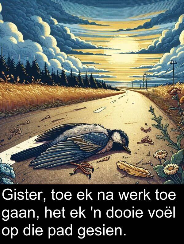 dooie: Gister, toe ek na werk toe gaan, het ek 'n dooie voël op die pad gesien.