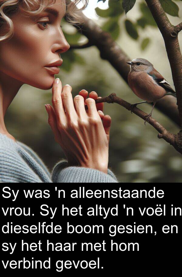alleenstaande: Sy was 'n alleenstaande vrou. Sy het altyd 'n voël in dieselfde boom gesien, en sy het haar met hom verbind gevoel.