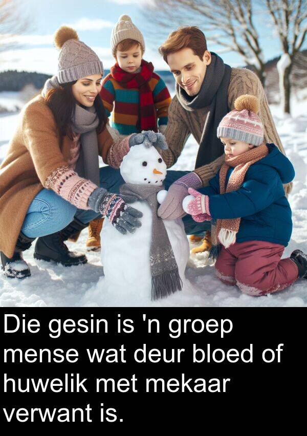 mekaar: Die gesin is 'n groep mense wat deur bloed of huwelik met mekaar verwant is.