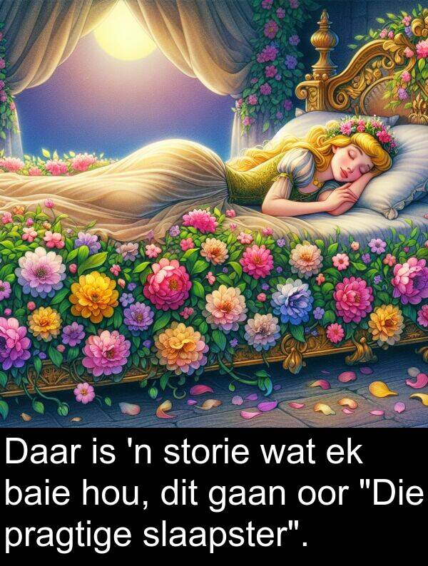 storie: Daar is 'n storie wat ek baie hou, dit gaan oor "Die pragtige slaapster".