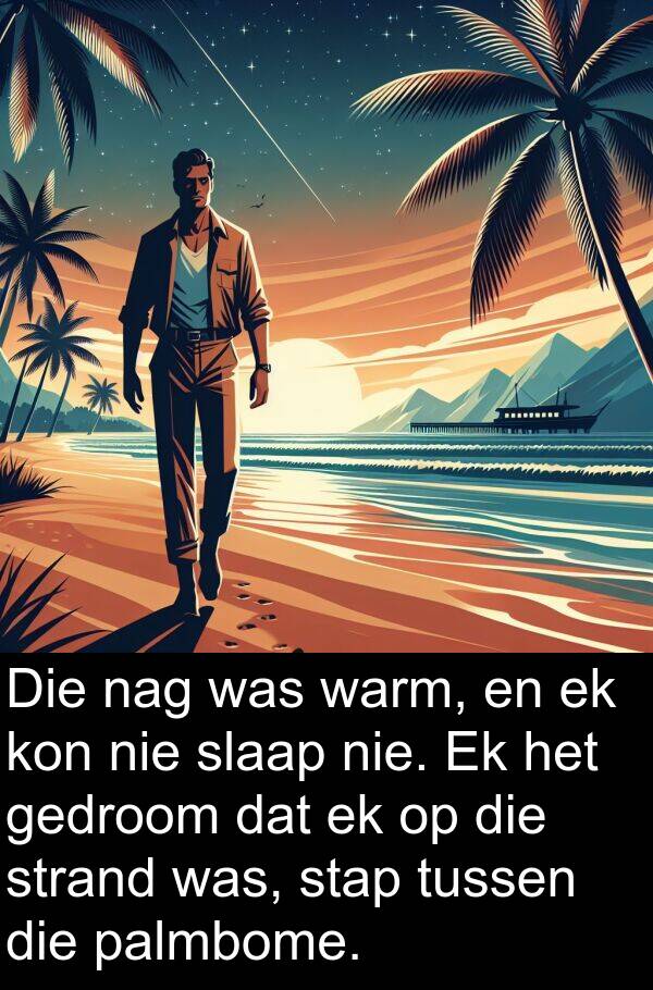 gedroom: Die nag was warm, en ek kon nie slaap nie. Ek het gedroom dat ek op die strand was, stap tussen die palmbome.