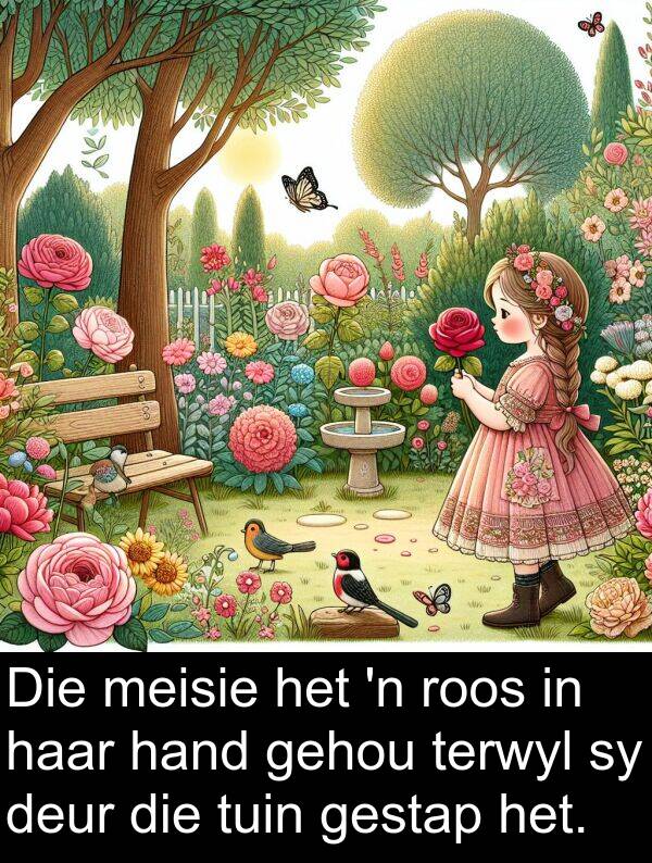 hand: Die meisie het 'n roos in haar hand gehou terwyl sy deur die tuin gestap het.